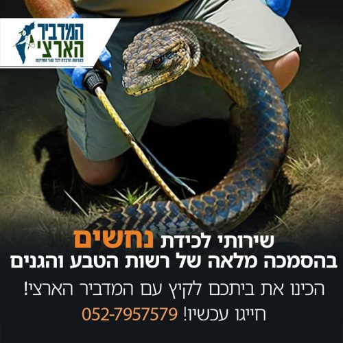 whatsapp-image-2024-12-25-at-18-11-00-2-jpeg