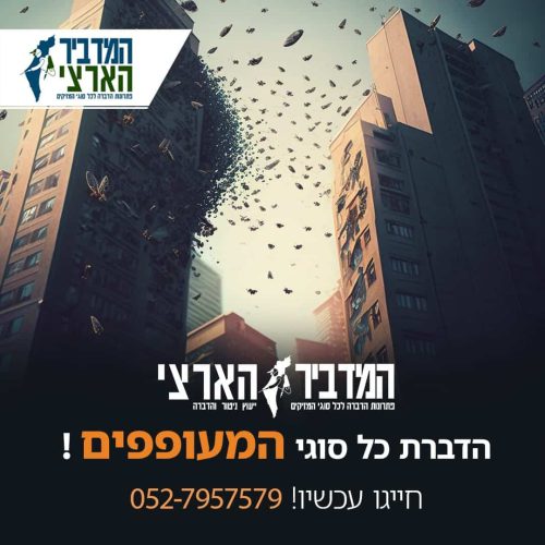 whatsapp-image-2024-12-25-at-18-11-00-2-jpeg