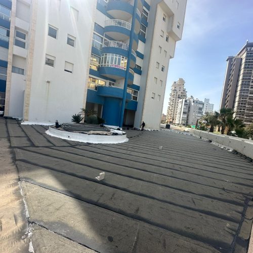whatsapp-image-2025-01-01-at-17-51-05-jpeg